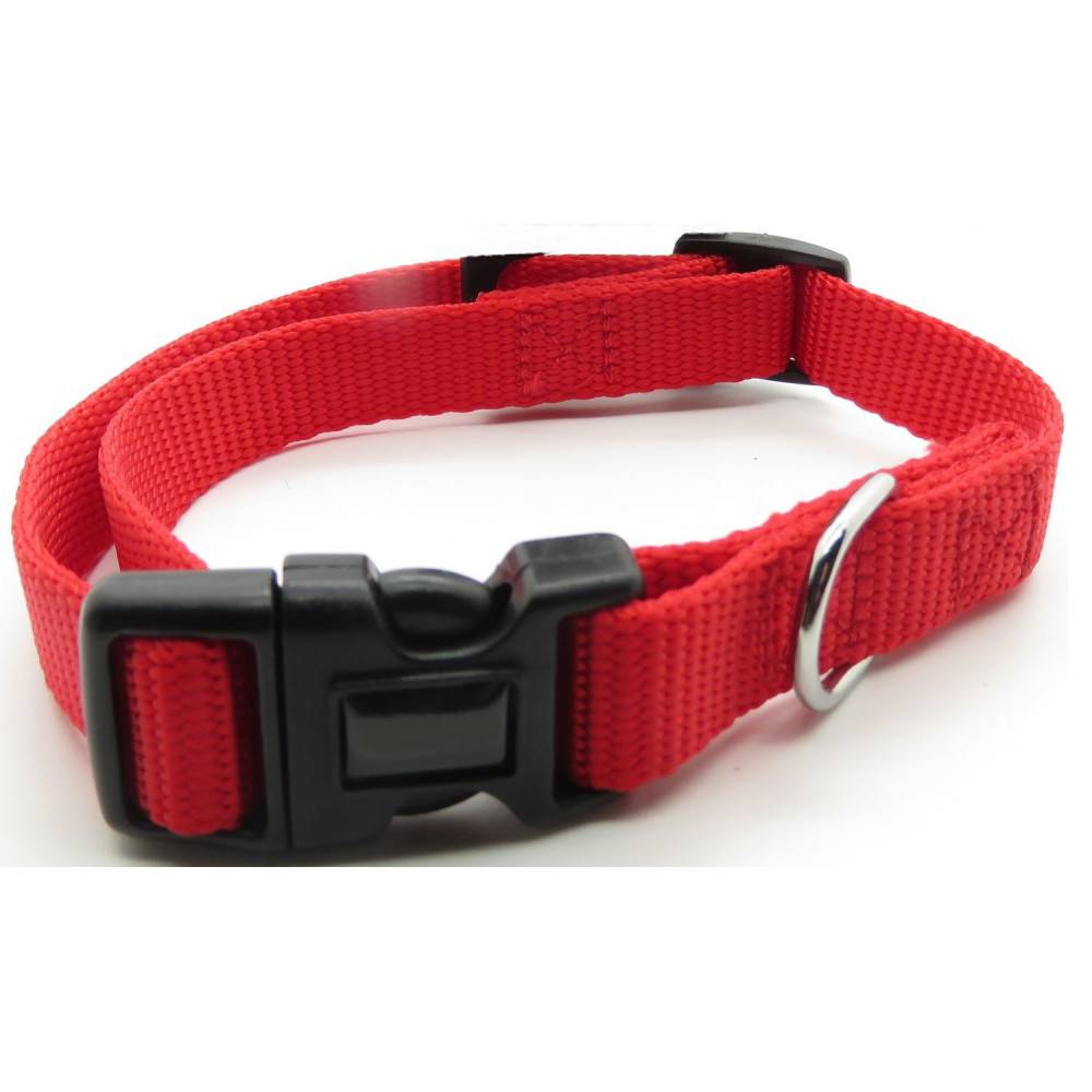 animallparadise - Collier nylon 30-40 cm x 15 mm rouge pour chien - Image 1