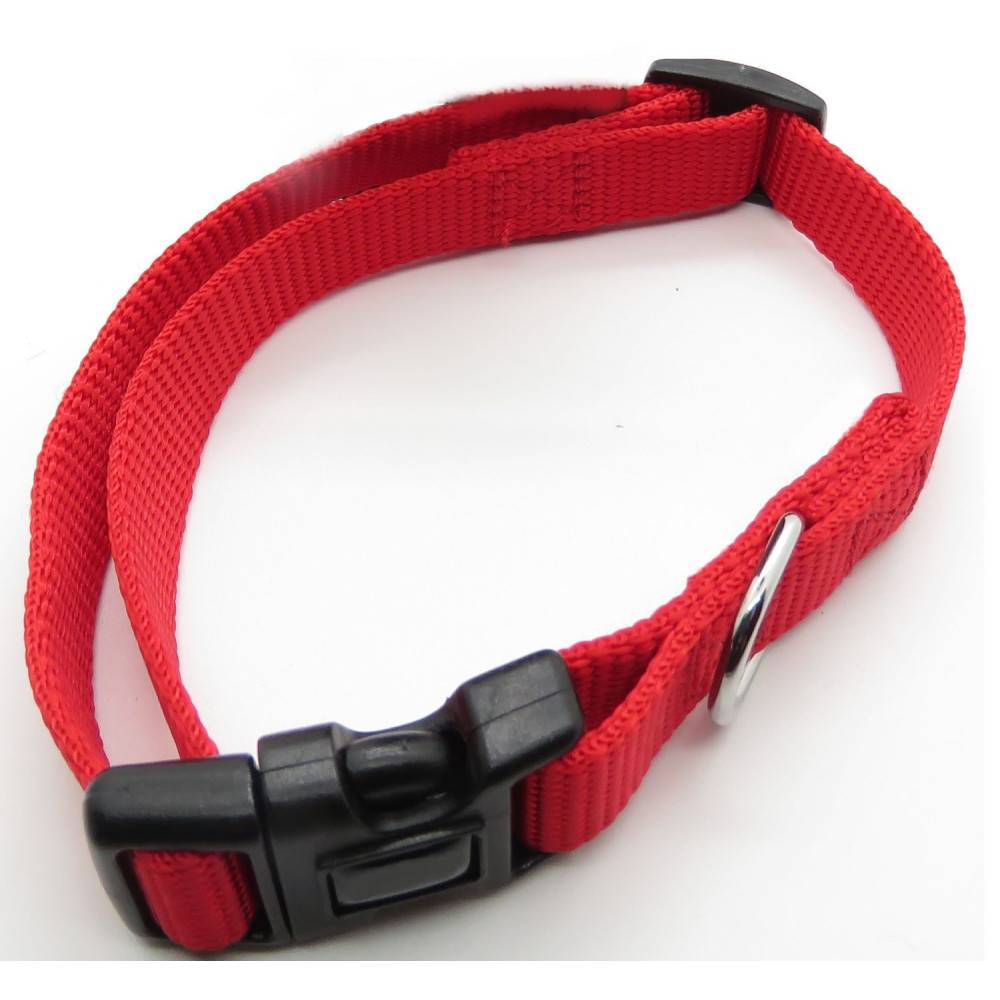 animallparadise - Collier nylon 30-40 cm x 15 mm rouge pour chien - Image 3