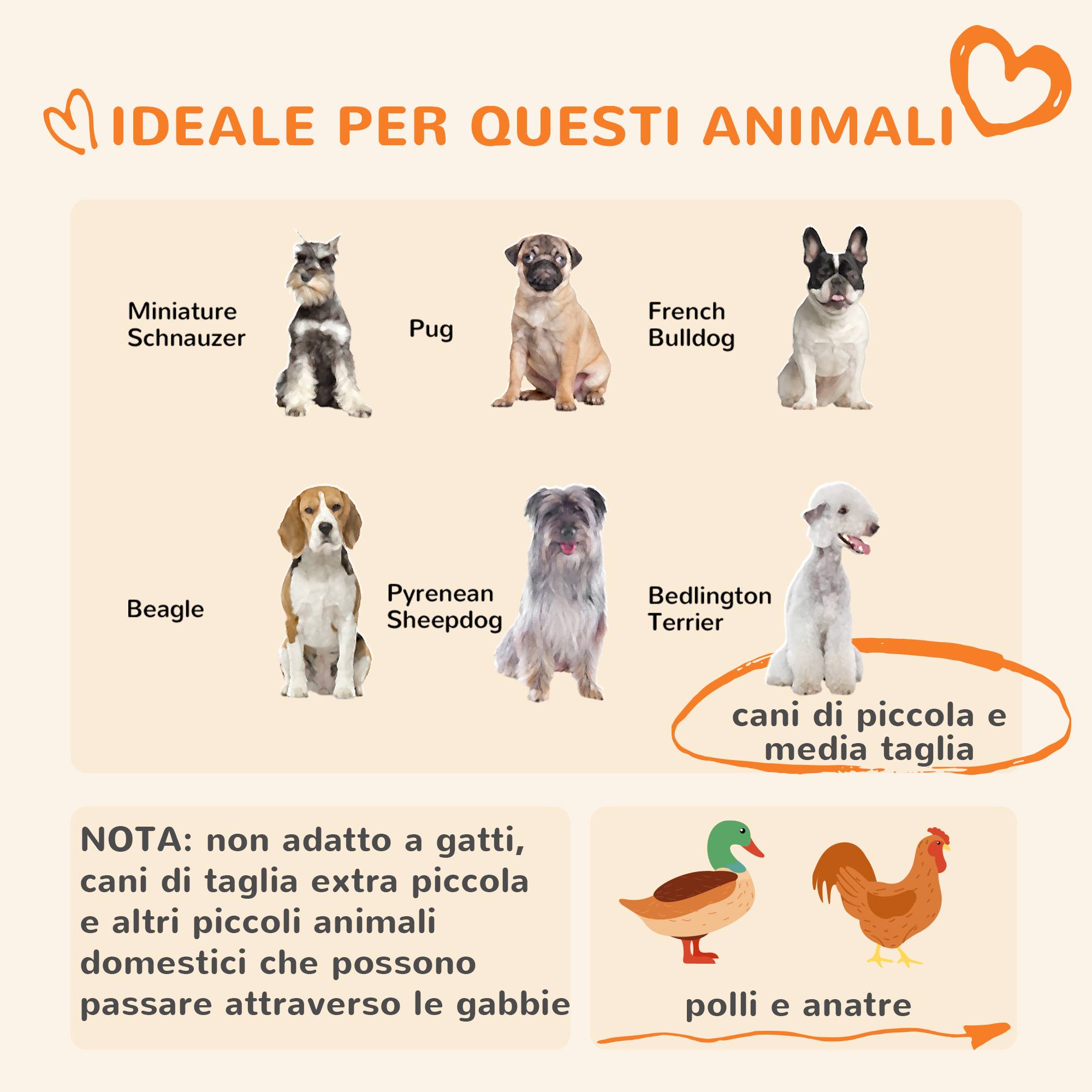Enclos pour chiens de petite et moyenne taille, poules et canards avec toit, 122 x 122 x 13 cm - Image 6