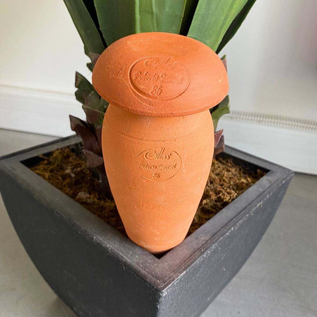 Ollas à planter allongée 0,5 L - Terre brute - Mes Courses En Vrac - Image 4