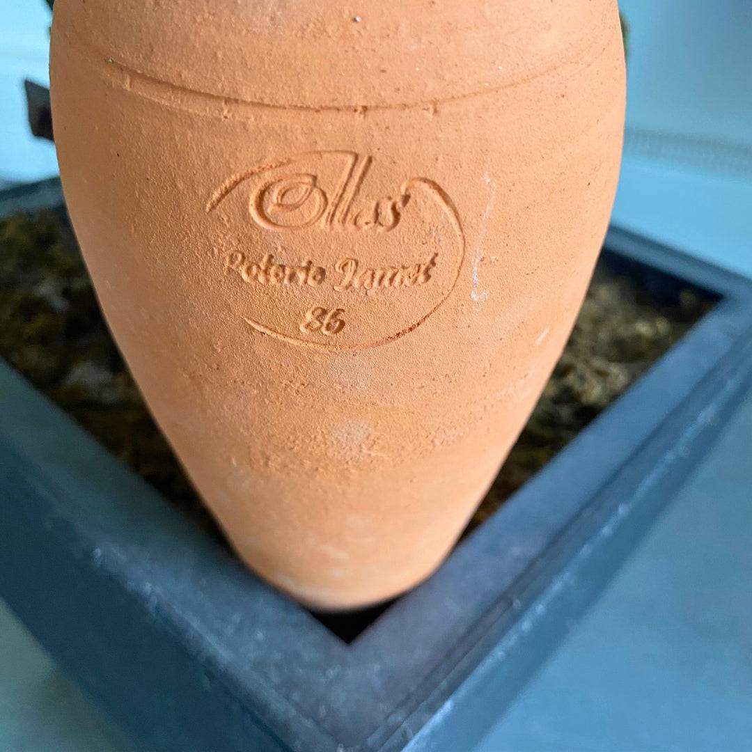 Ollas à planter allongée 0,5 L - Terre brute - Mes Courses En Vrac - Image 5