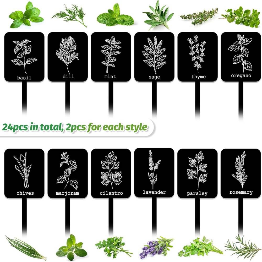 DtopbuyAge - 24 étiquettes plantes acrylique - 12 modèles - Noms d'herbes inclus - Résistantes à l'eau - DtopbuyAge - Image 2