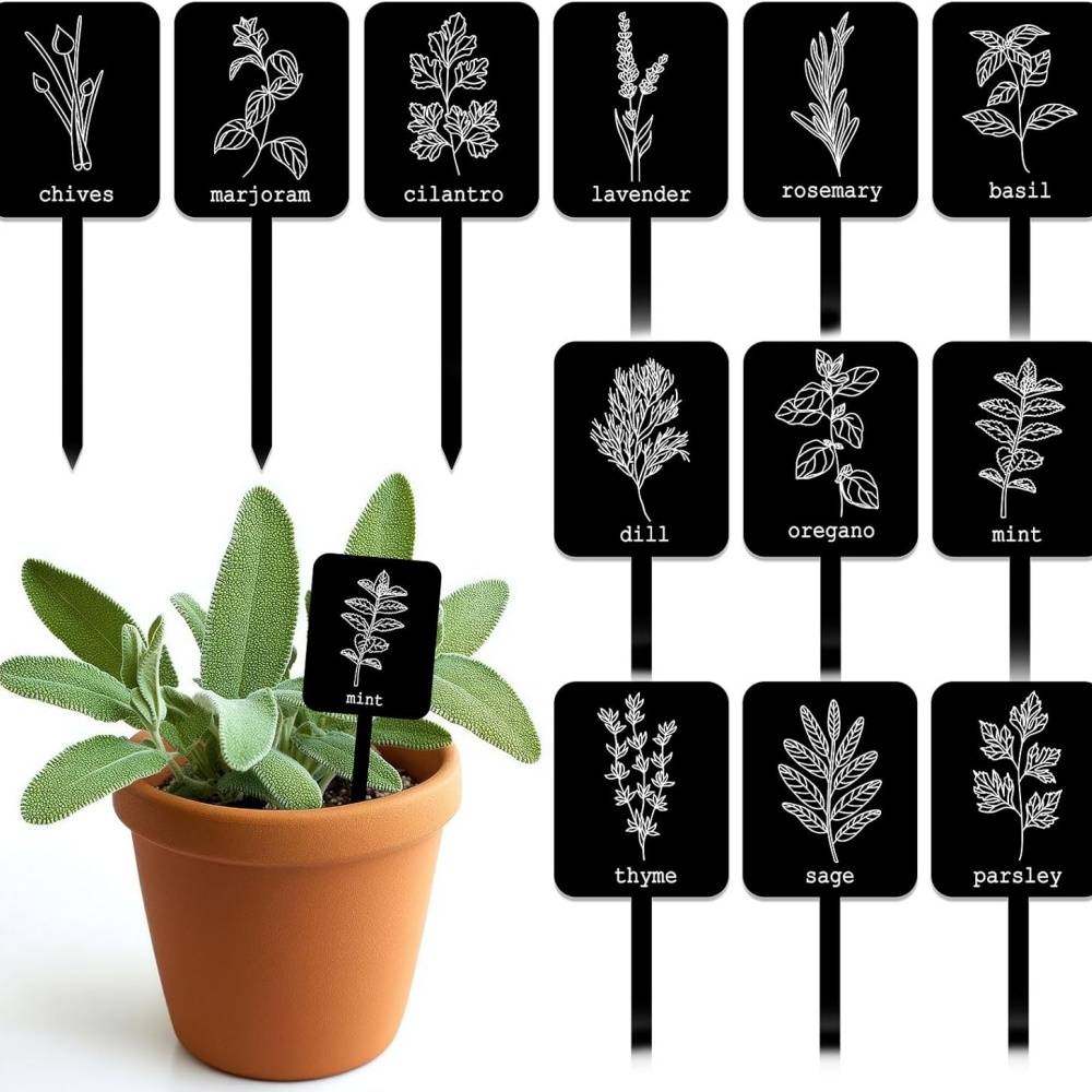 DtopbuyAge - 24 étiquettes plantes acrylique - 12 modèles - Noms d'herbes inclus - Résistantes à l'eau - DtopbuyAge - Image 1