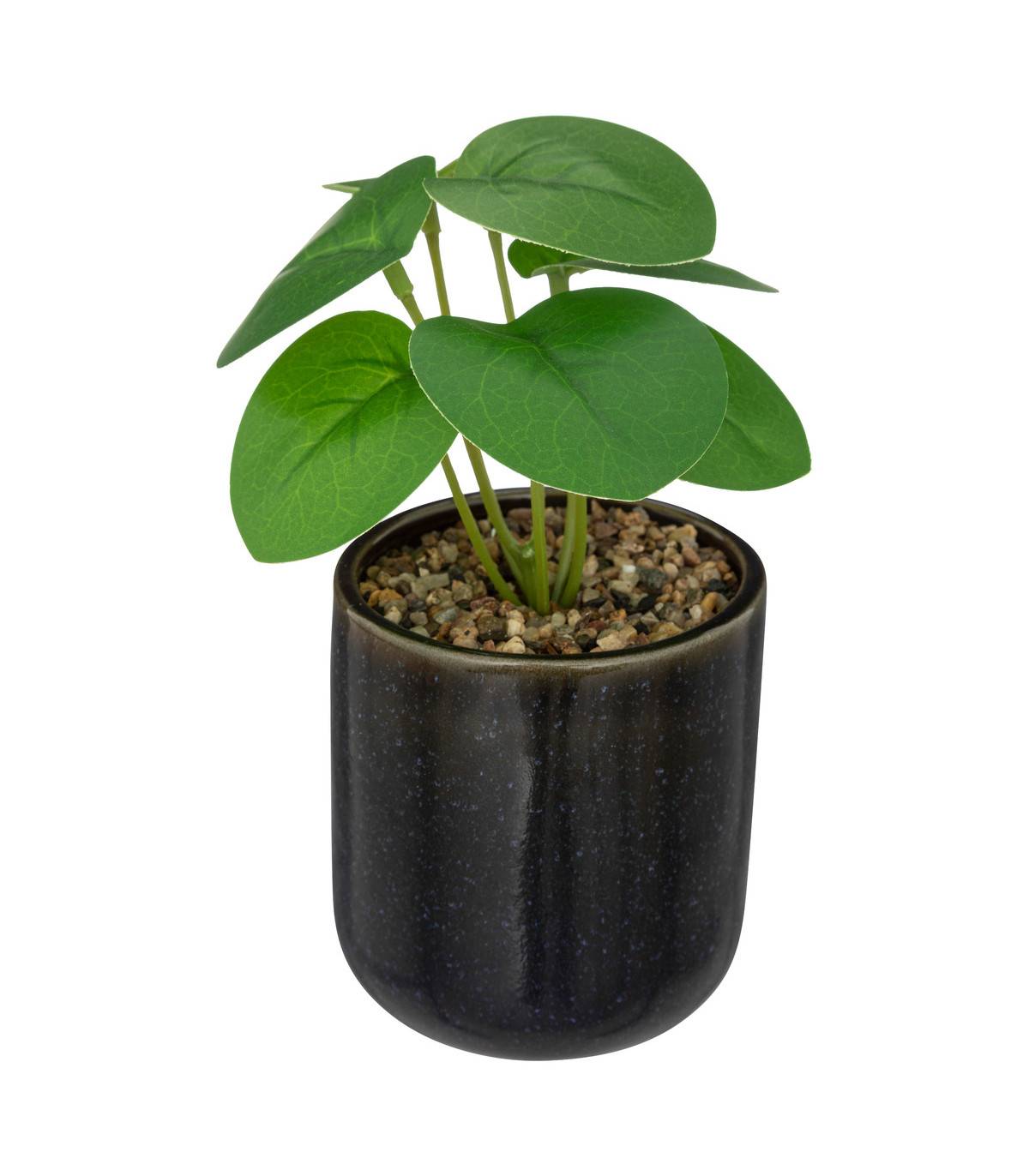 Plante verte artificielle Pot en céramique Noire émaillée H 16 cm - Image 1