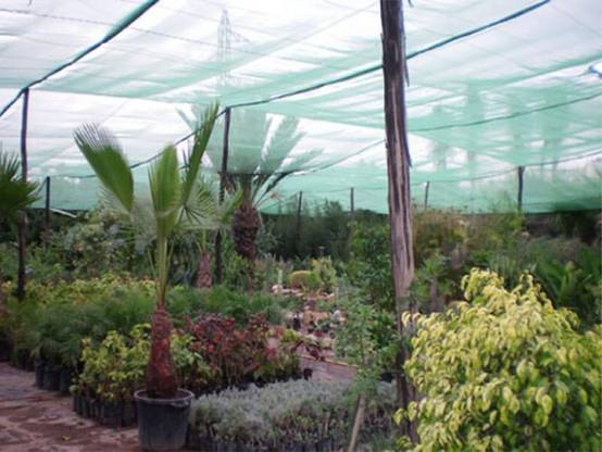 Filet d'ombrage - 55% d'ombre Vert/Noir 1.50m x 20m - Image 1