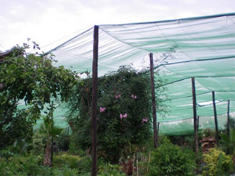 Filet d'ombrage - 55% d'ombre Vert/Noir 1.50m x 20m - Image 3