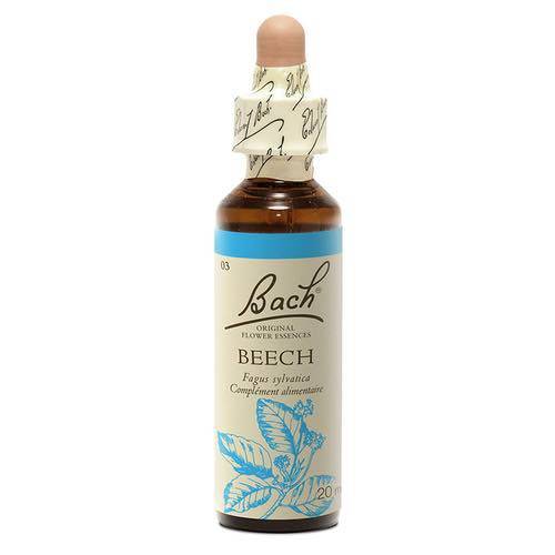 Beech - Fleurs de Bach® n°3 Fleur de Bach