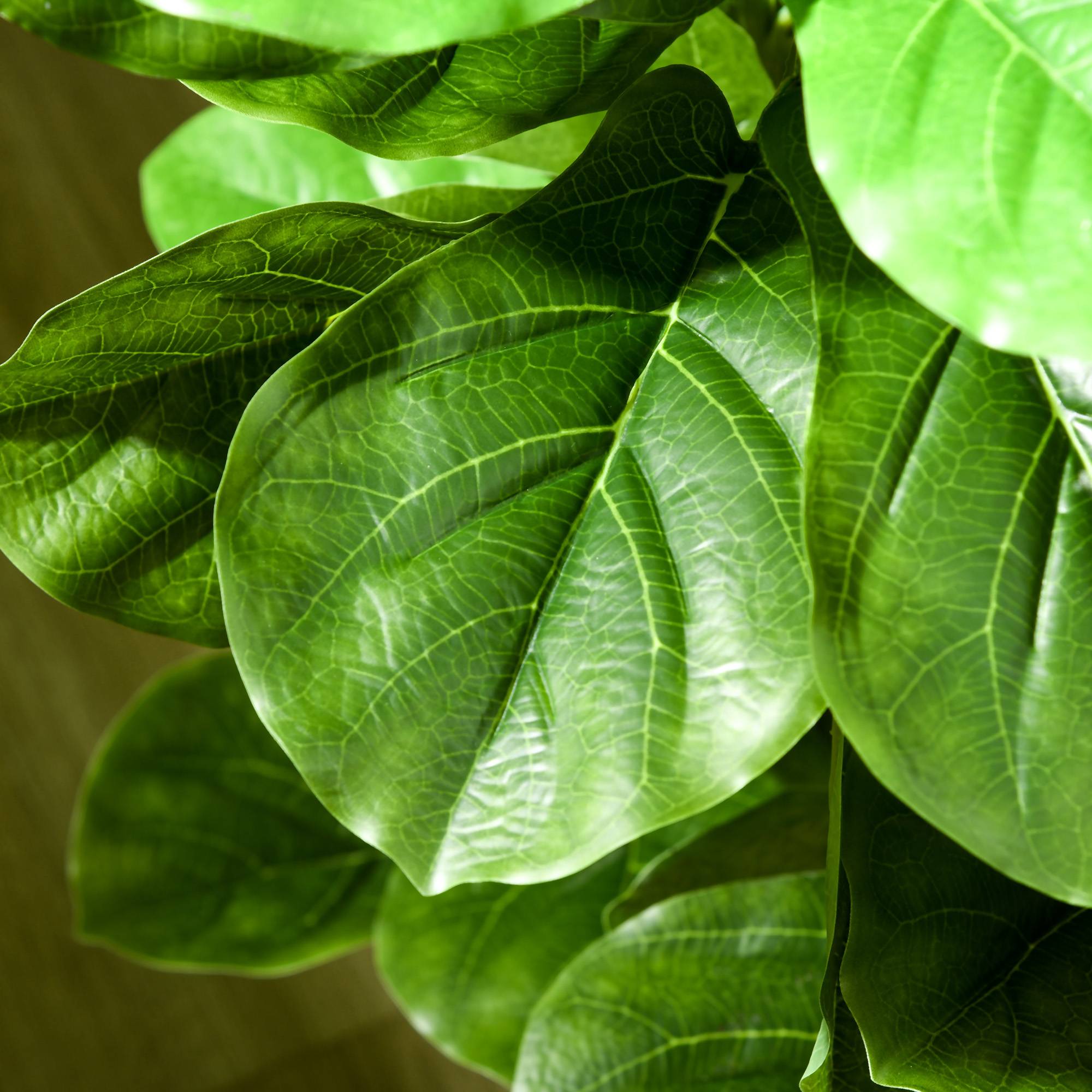 Lot de 2 plantes artificielles Figuier à feuilles de violon Ficus Lyrata hauteur 180cm avec Pot - Image 10