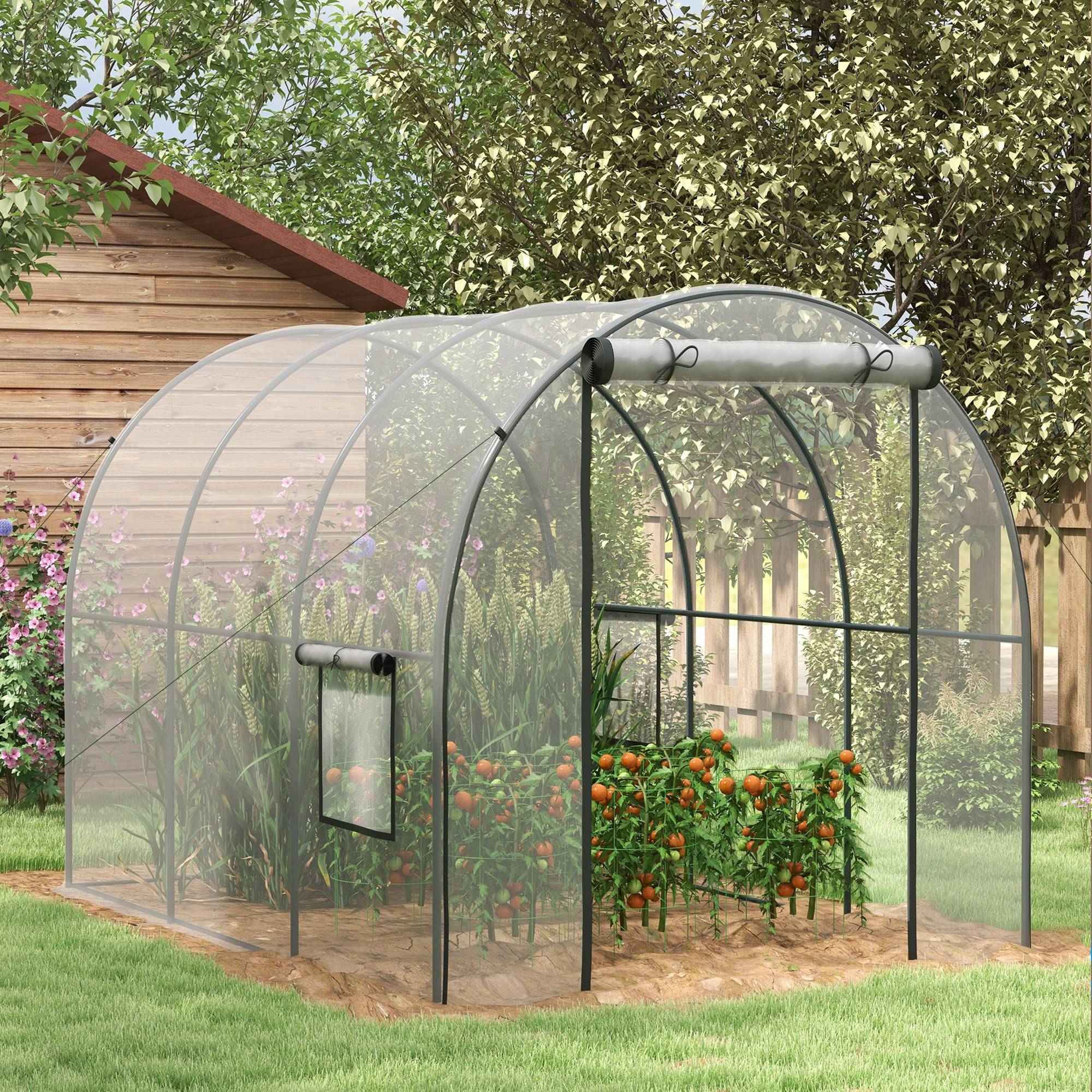 Serre de Jardin Tunnel 6 m² 3L x 2l x 2H m châssis Tubulaire renforcé Porte zippée 2 fenêtres enroulables - transparent - Image 3