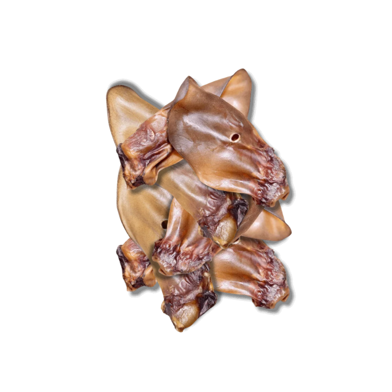 Oreilles de bœuf naturelles pour chiens – Friandises à mâcher, favorisent l’hygiène bucco-dentaire - Image 3
