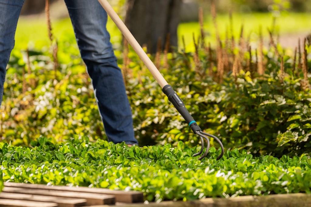 Gardena - Griffe piocheuse 9 cm - PureLine - manche bois FSC et dents acier - Image 9