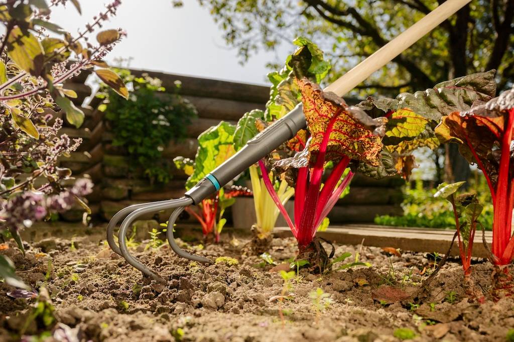Gardena - Griffe piocheuse 9 cm - PureLine - manche bois FSC et dents acier - Image 7