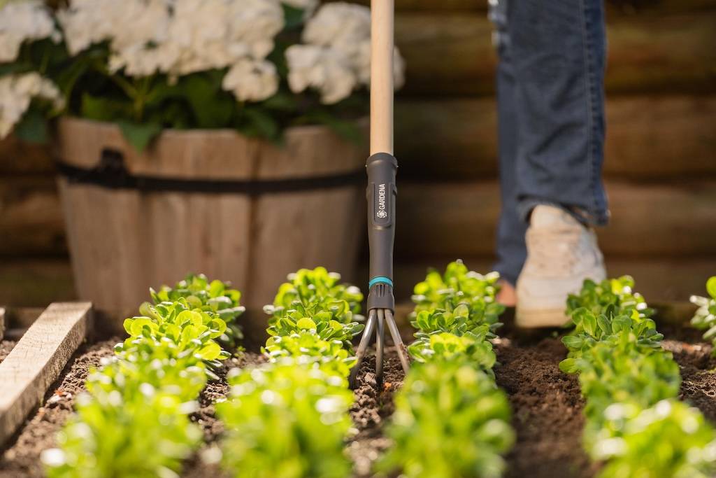Gardena - Griffe piocheuse 9 cm - PureLine - manche bois FSC et dents acier - Image 6