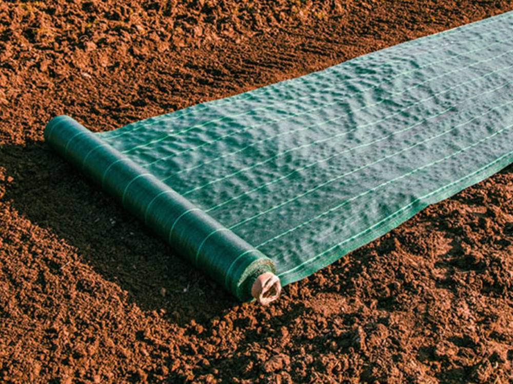 Maille Store - Toile de paillage - Vert - 100gr/m² - Non plié Non pliés 1.05m x 100m Vert - Image 1