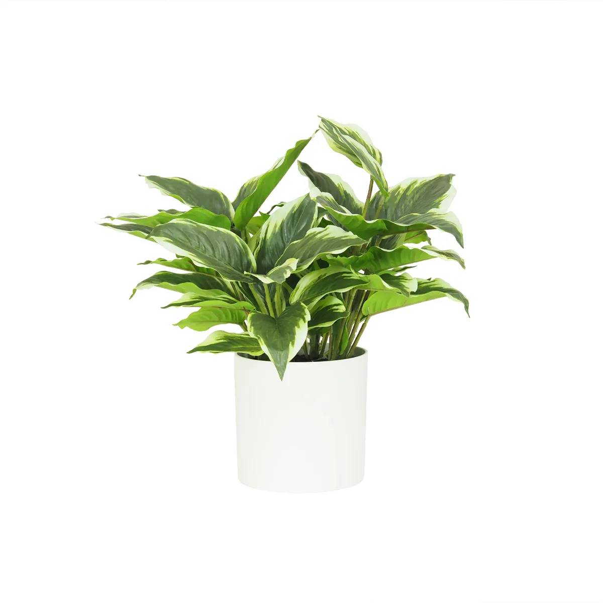 Ligne Deco - Dieffenbachia artificiel 40cm - Image 1