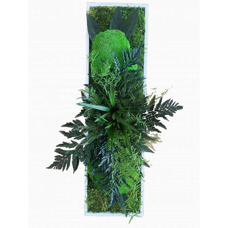 Tableau végétal stabilisé Janguru- tableau végétal - décoration d'intérieur - 70*20 cm