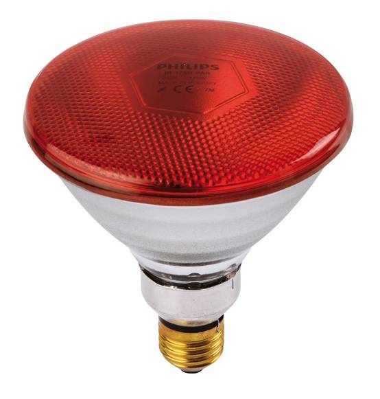 Ampoule PHILIPS IR/PAR rouge 175W - Image 1