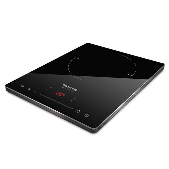 Table de cuisson à induction posable 2000w DARKFIRE Taurus