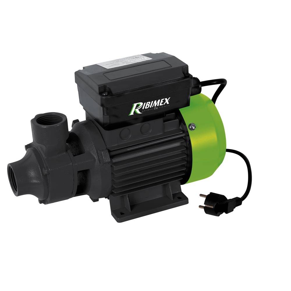 Ribimex - Pompe centrifuge à eau (propre) et gasoil 370 W