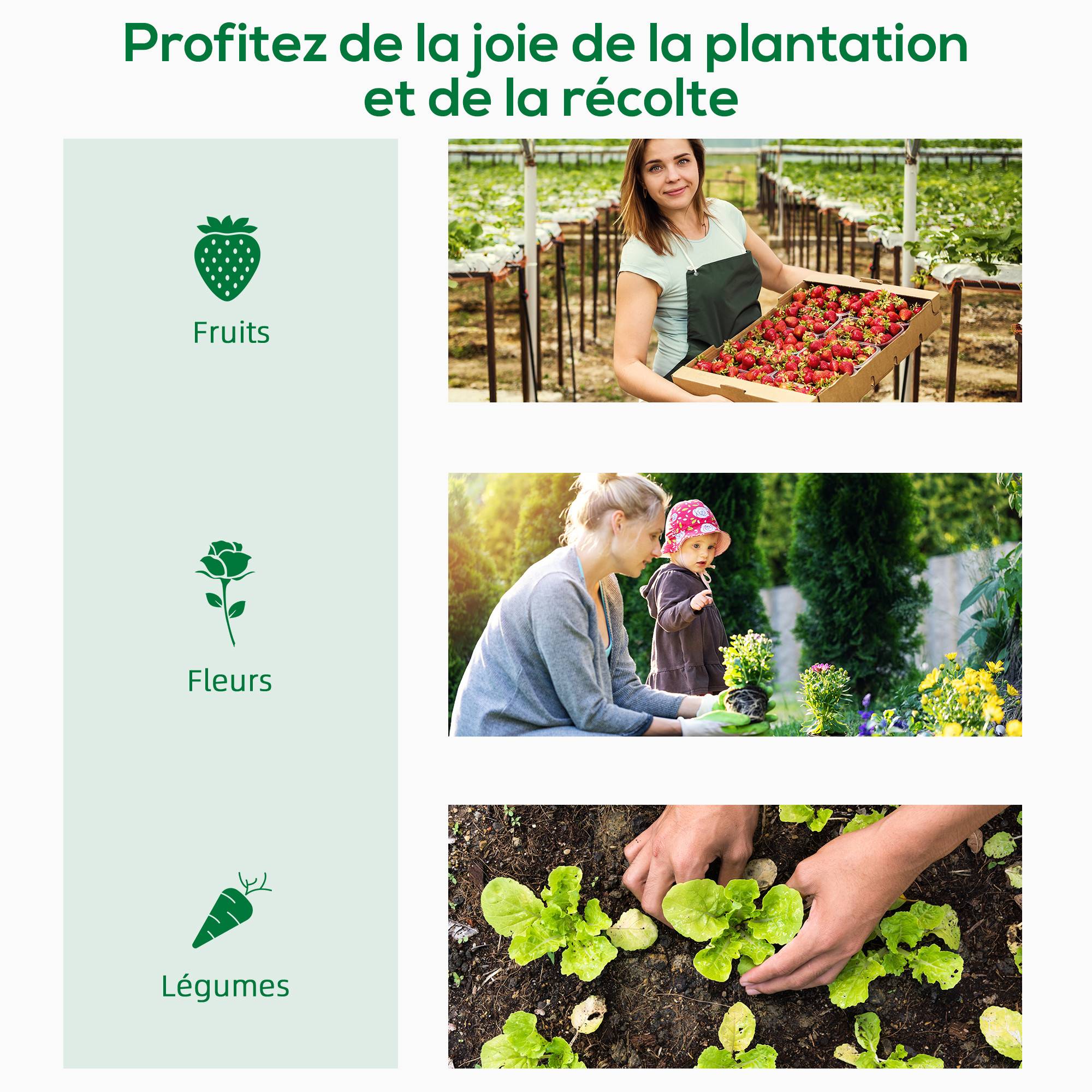 ComfortXL - Serre de jardin compacte en PE blanc 200 x 76 x 168 cm potager porte enroulable - ComfortXL Outdoor Living - Image 9