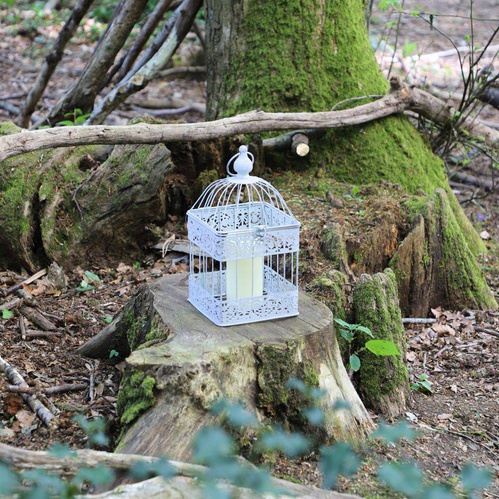Cage à oiseaux décorative ancienne métal blanc 18x18x40cm Chemin de campagne - Image 4