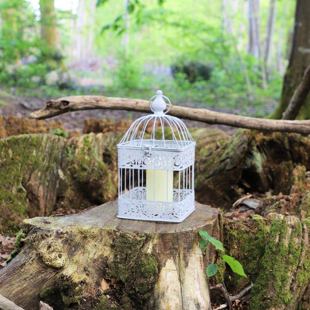 Cage à oiseaux décorative ancienne métal blanc 18x18x40cm Chemin de campagne - Image 2