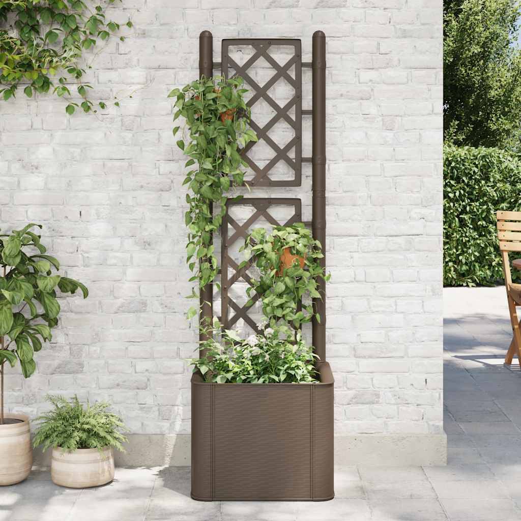 Jardinière avec treillis et arrosage auto pour plantes grimpantes Moka – ComfortXL Outdoor Living - Image 1