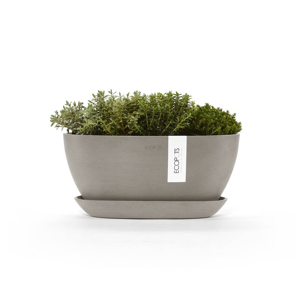 Ecopots - Pot Ovale Sofia 30 + Soucoupe - 30 x 13 x H. 13,9 cm - 2,7 L ECOPOTS - Image 2