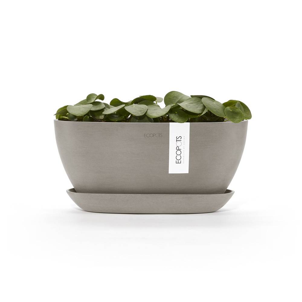 Ecopots - Pot Ovale Sofia 30 + Soucoupe - 30 x 13 x H. 13,9 cm - 2,7 L ECOPOTS - Image 3