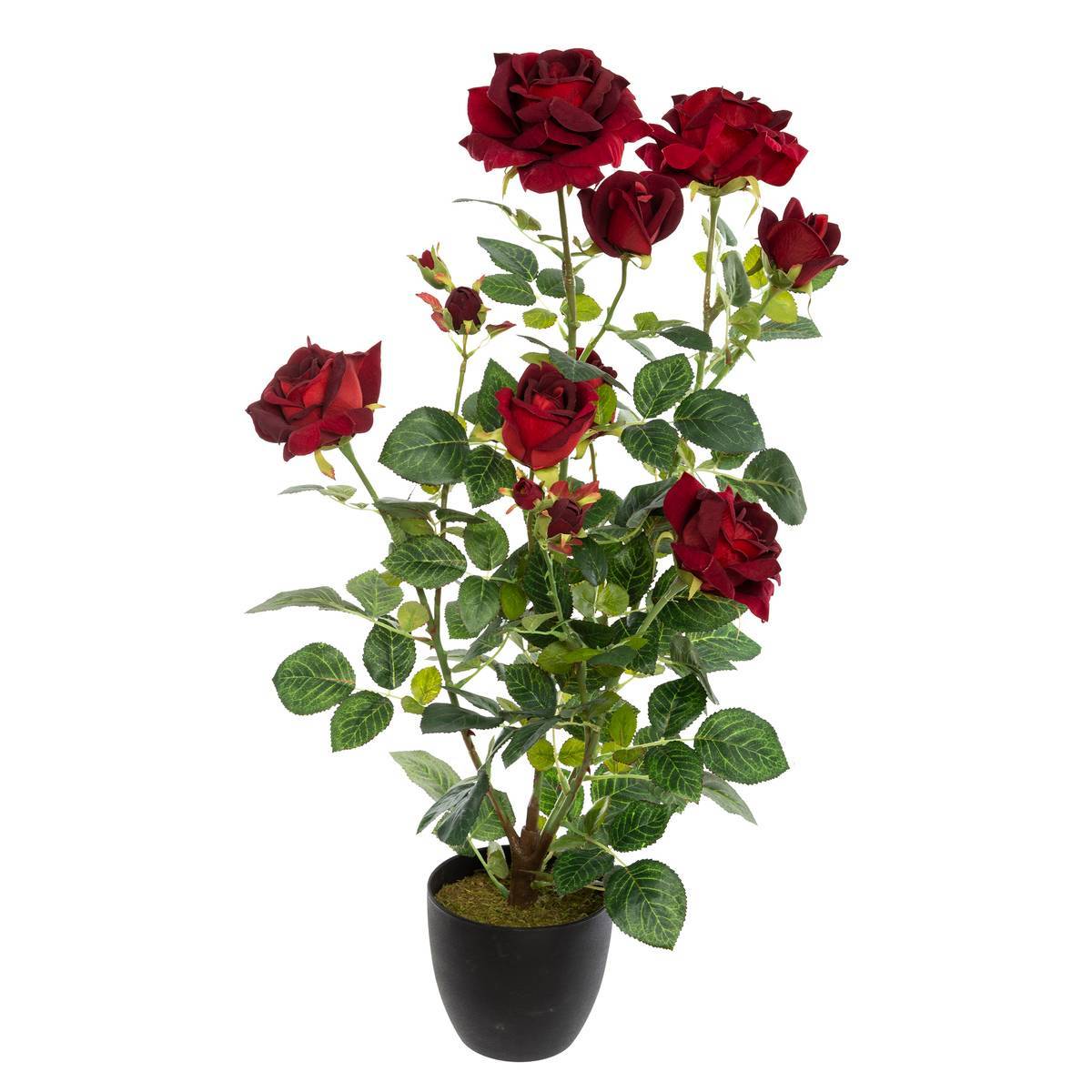 Atmosphera - Rosier artificiel pot ciment H74cm - Atmosphera Créateur d'intérieur - Image 2