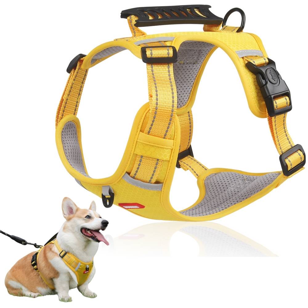 Harnais réfléchissant pour chien xl - IntiMeg - Image 1