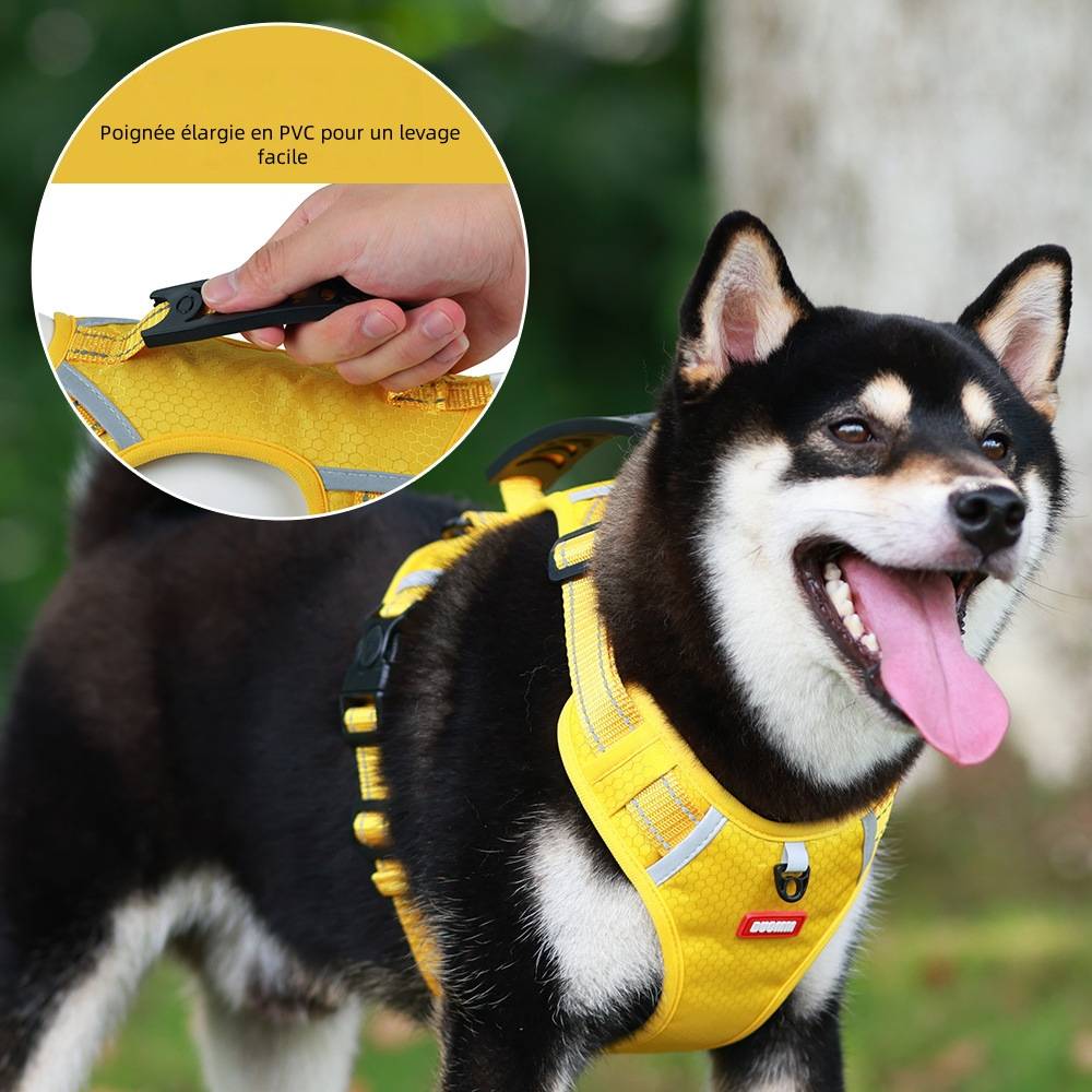 Harnais réfléchissant pour chien xl - IntiMeg - Image 2