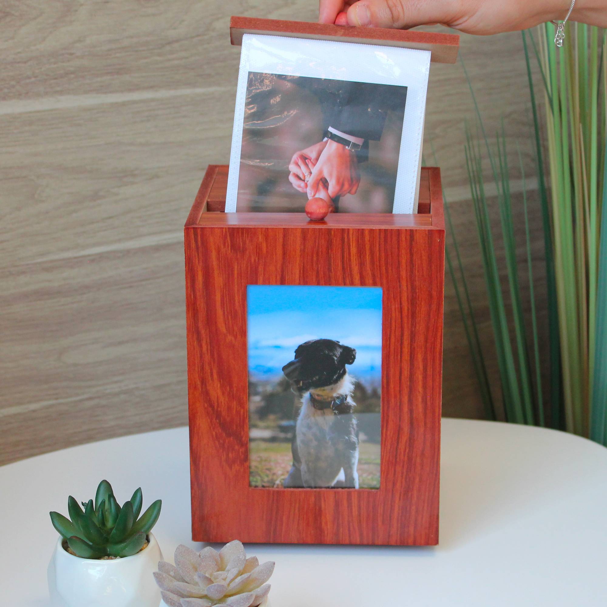 Porte photos 360 FISHTEC 100 photos Twist & Wood - Image 7