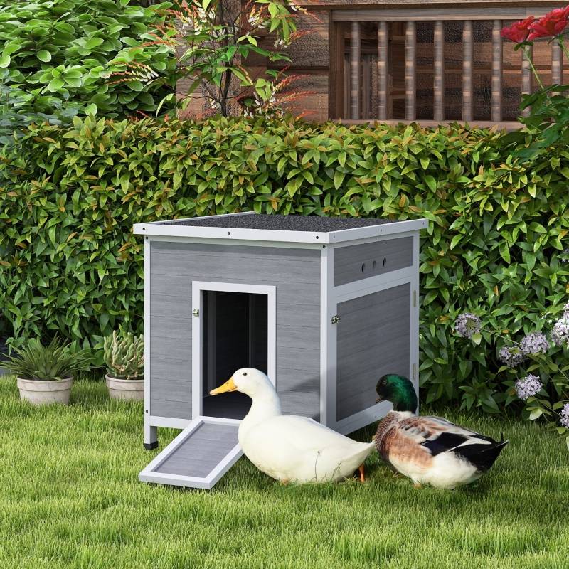 Abri Canards Poulailler Bois Sapin Toit Bitumé Ouvrant Nettoyage Facile Gris - ComfortXL Outdoor Living - Image 1