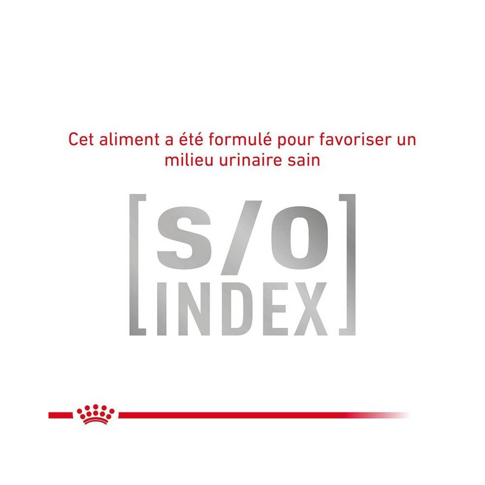 Royal Canin - Patée Royal Canin Chat - Gastrointestinal Fibre Response 12*85 g - Image 7
