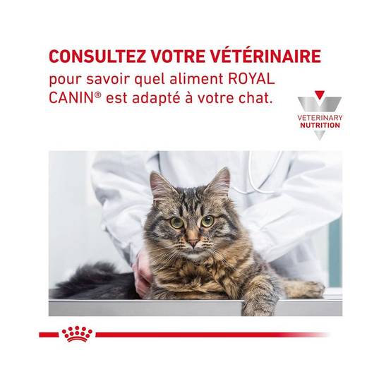 Royal Canin - Patée Royal Canin Chat - Gastrointestinal Fibre Response 12*85 g - Image 9