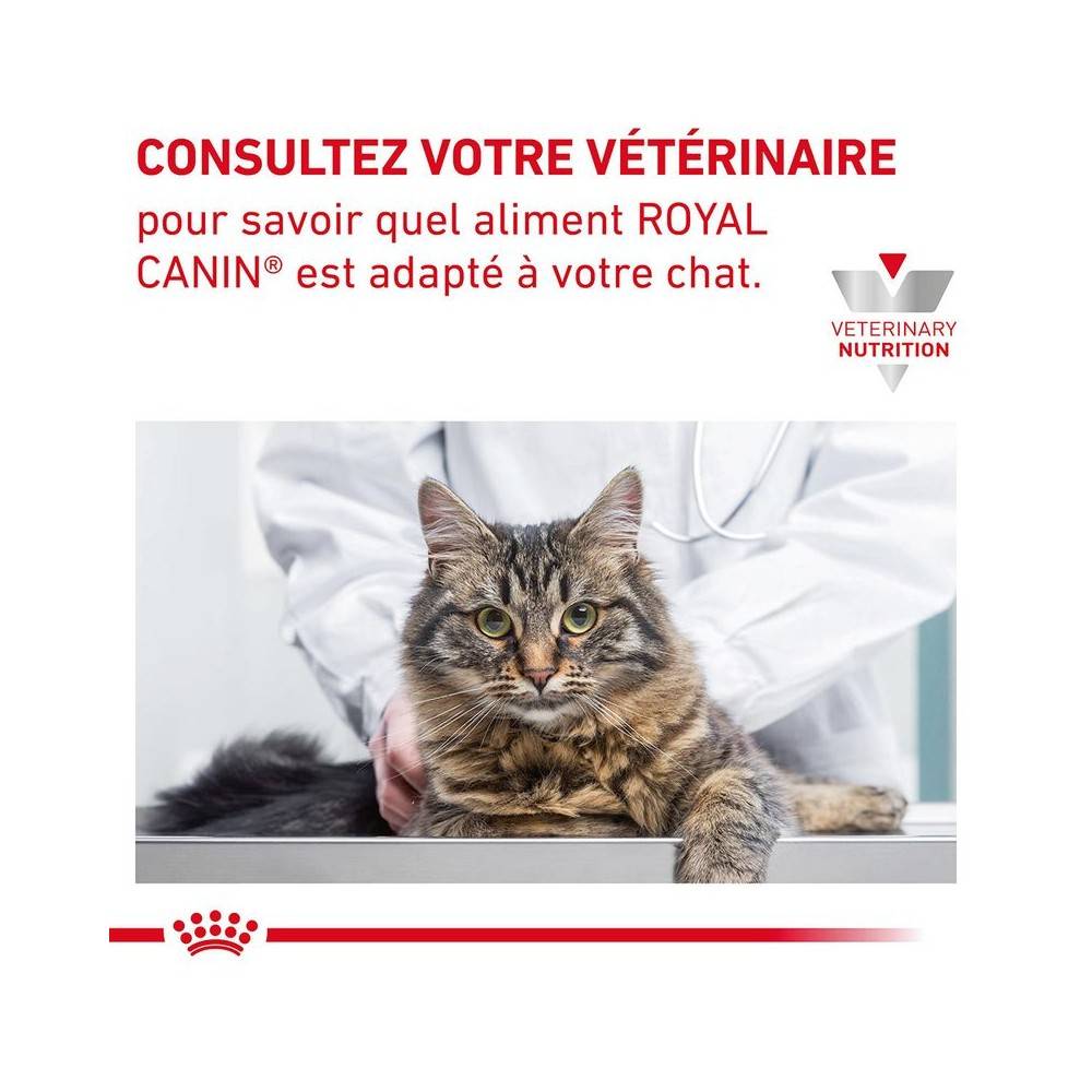 Royal Canin - Patée Royal Canin Chat - Gastrointestinal Fibre Response 12*85 g - Image 9