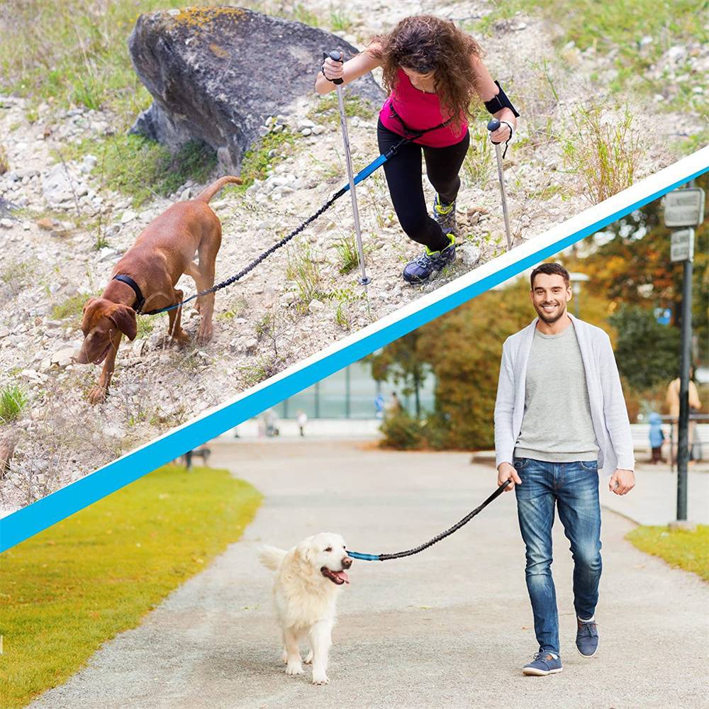 Lytech - Laisse Ceinture Élastique pour Chien 2.5x150 cm - Anti-Traction avec Double Ressort - Jogging et Randonnée - Lytech - Image 2