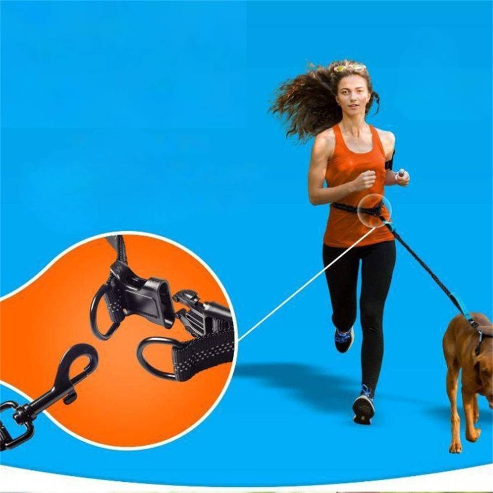 Lytech - Laisse Ceinture Élastique pour Chien 2.5x150 cm - Anti-Traction avec Double Ressort - Jogging et Randonnée - Lytech - Image 4