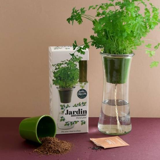Radis et Capucine - Radis et Capucine - Jardin autonome - Persil bio - Image 4