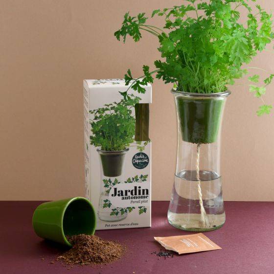 Radis et Capucine - Radis et Capucine - Jardin autonome - Persil bio - Image 4