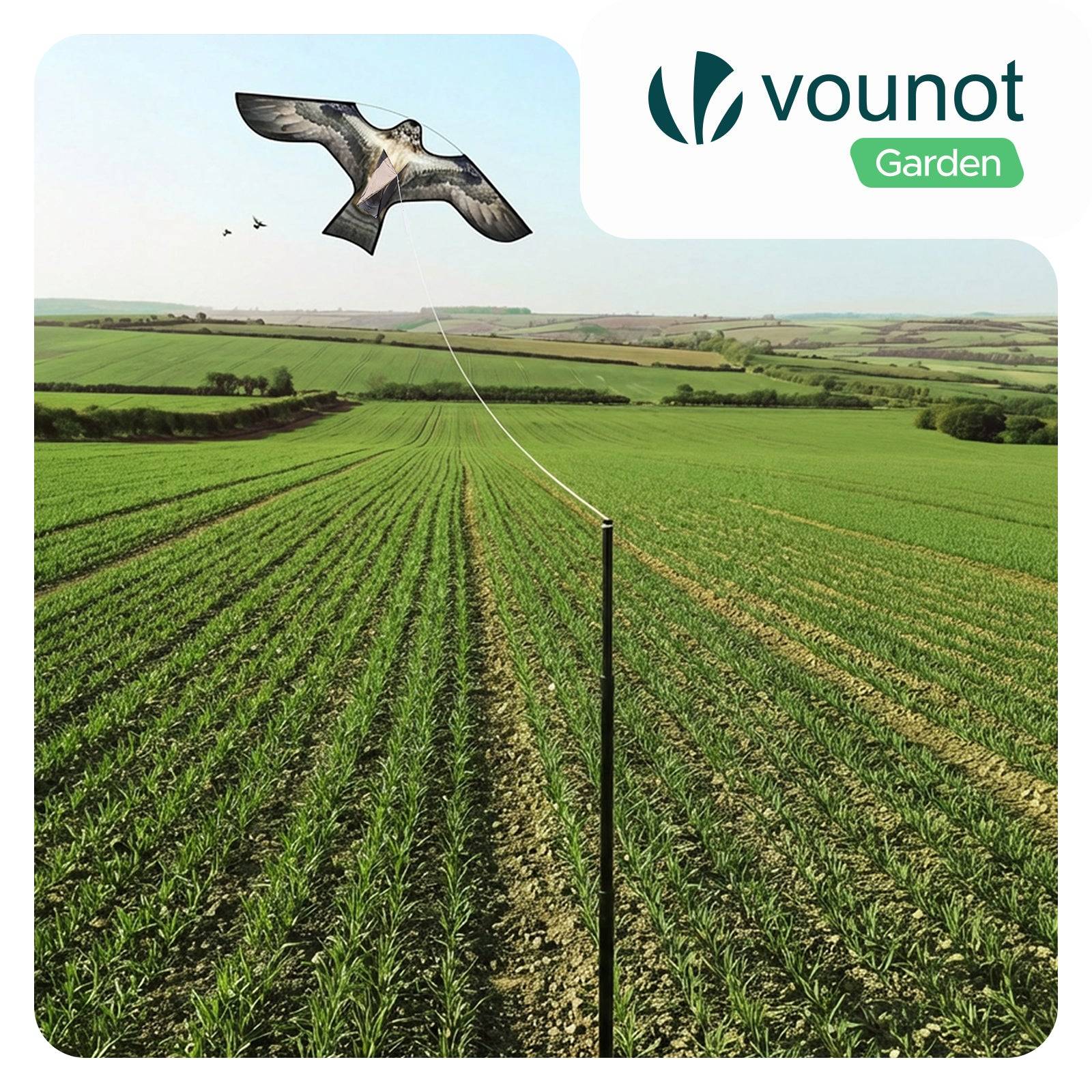 Lot de 2 Cerf volant anti oiseaux effaroucheur avec mat Faucon modele E et G - Image 2