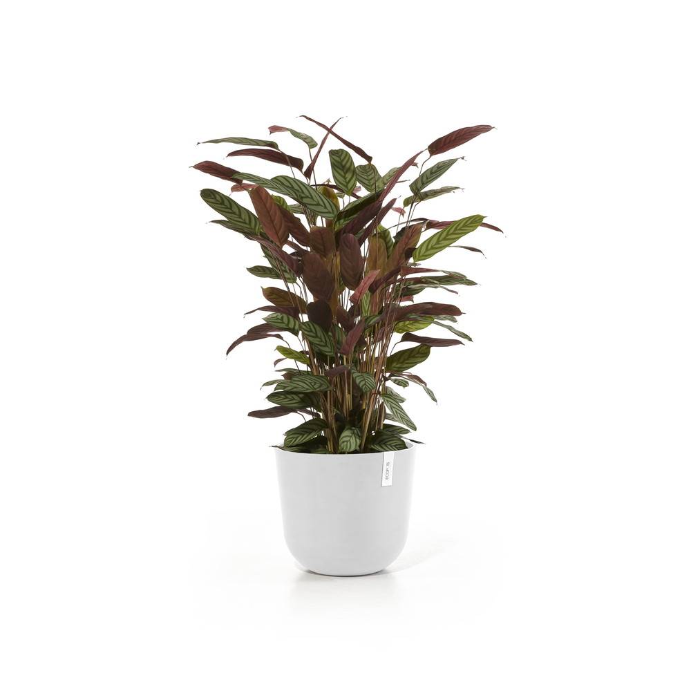 Ecopots - Pot Rond Oslo 35 Blanc Pur + réservoir d'eau - Ø 35 x H. 30,5 cm - 21,7 L ECOPOTS
