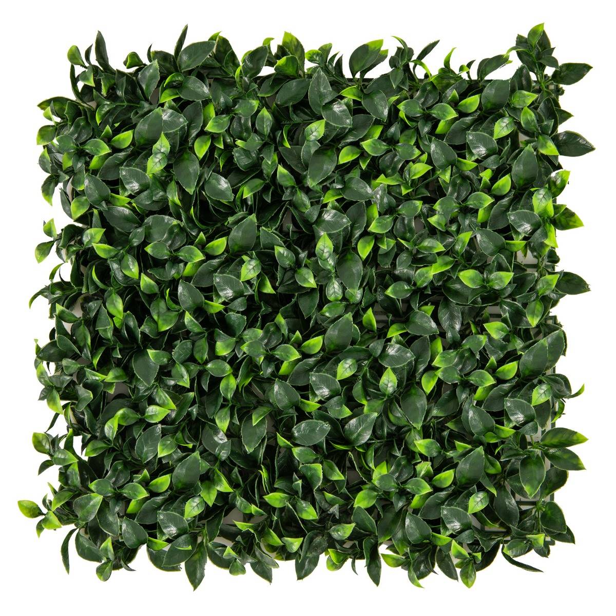 12 Haie d'Intimité Panneaux Muraux en Gazon Artificiel 50 x 50cm Panneaux d'Arbustes en Imitation Topiaire de Gardénia Murale - Image 1