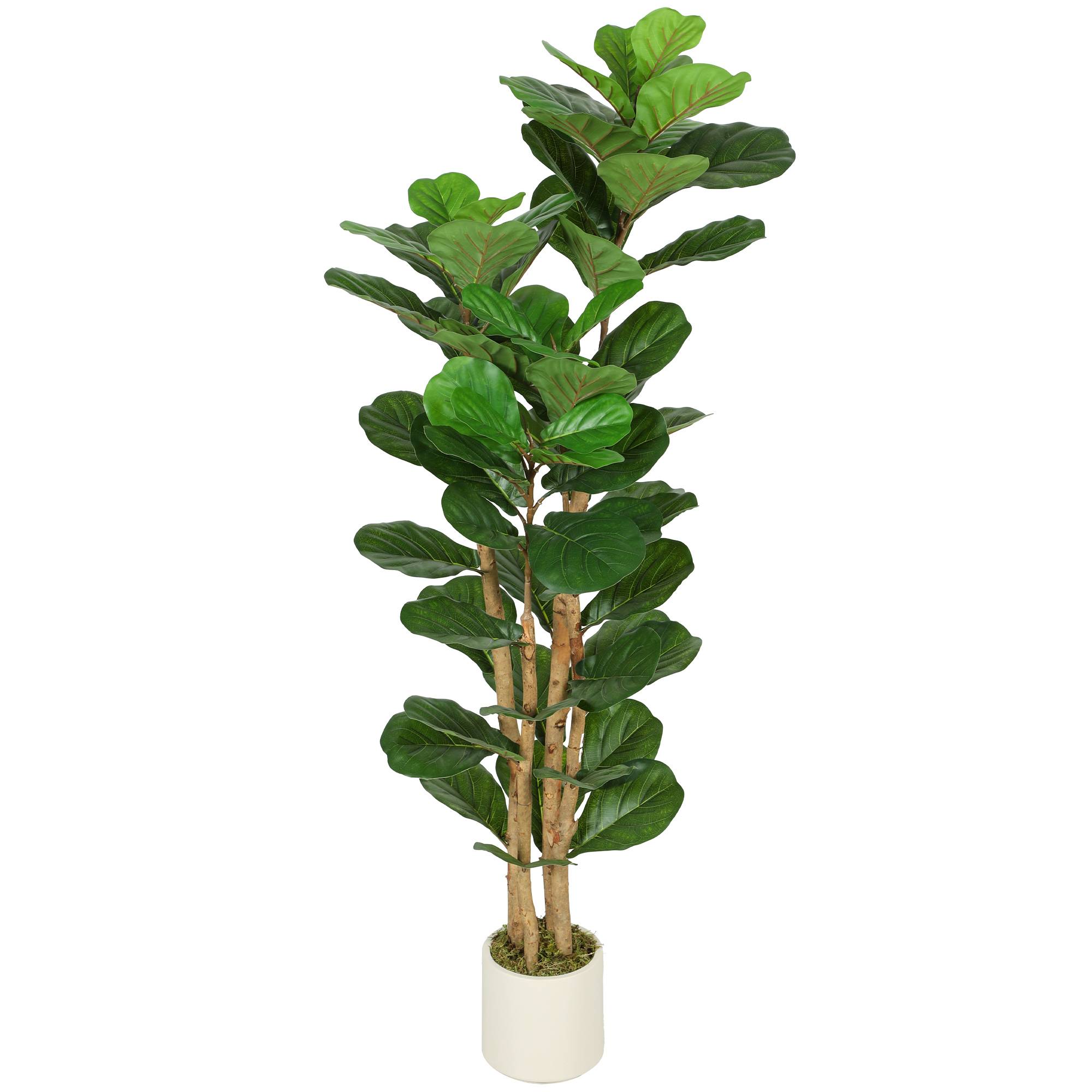 Sans Marque - Plante artificielle intérieure 150 cm Figuier lyre arbre artificiel avec pot en plastique et tronc en bois massif, vert - Image 2