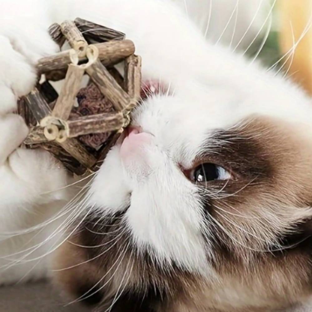 IntiMeg - Jouet pour chat avec clochette et balle Petit IntiMeg - Image 4