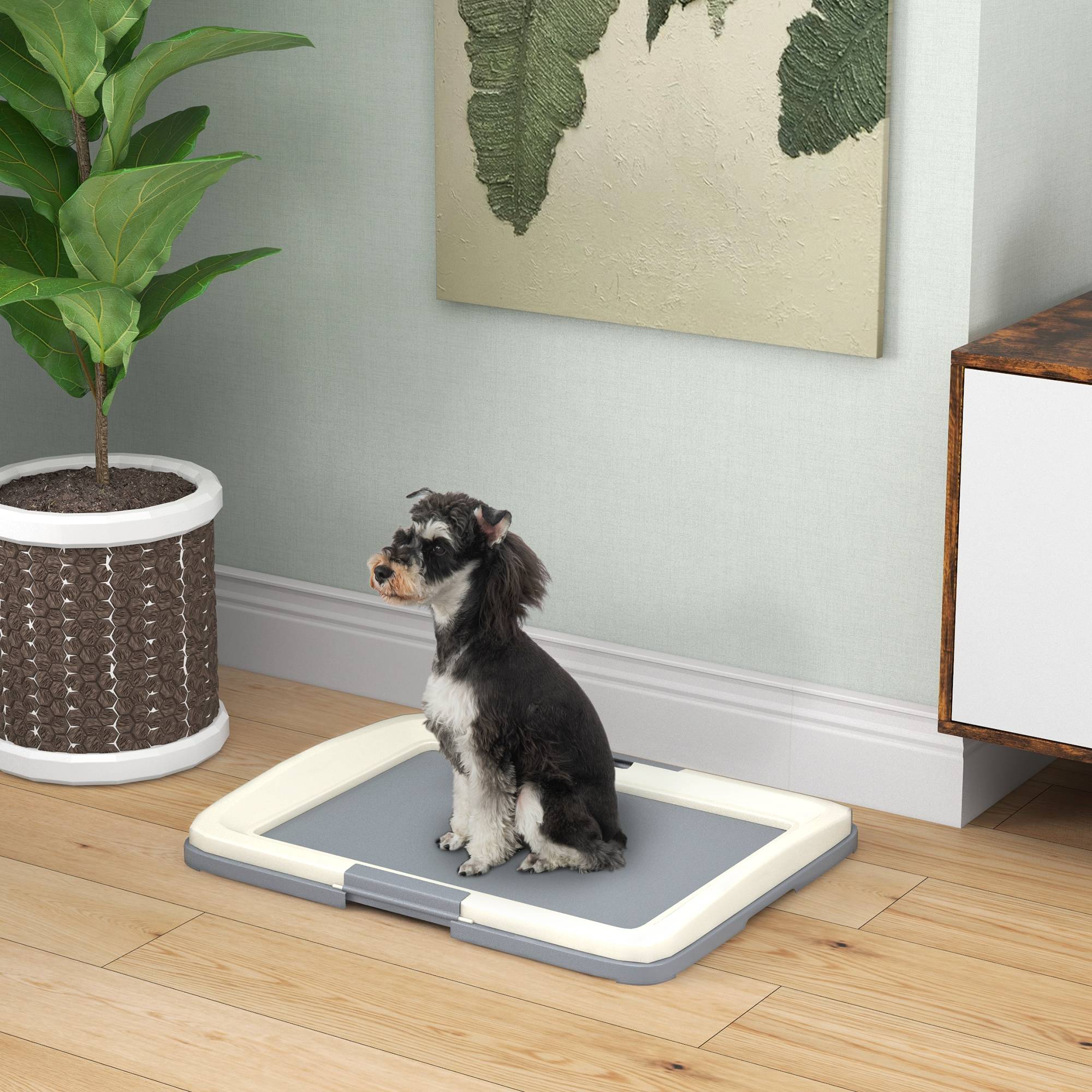 ComfortXL - Toilette pour chien PP gris 63x48,5x6 cm intérieur extérieur antidérapante - ComfortXL Outdoor Living - Image 4