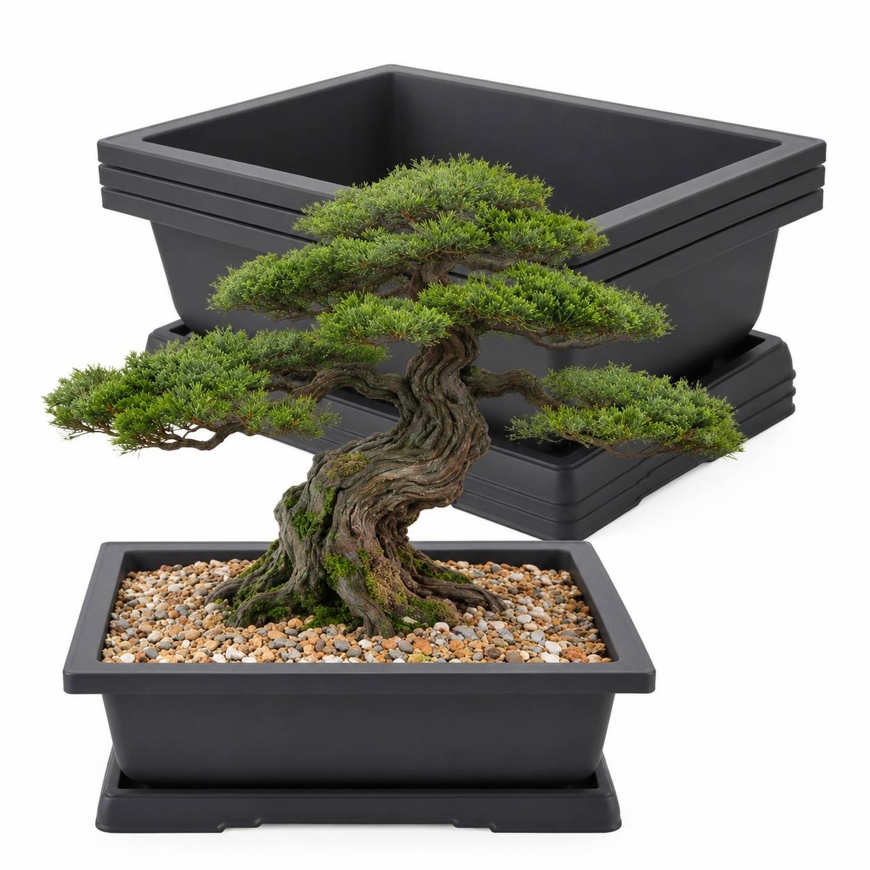 Set de 4 Pots Bonsaï Rectangulaires avec Soucoupes en Plastique - Image 1