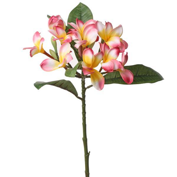 Artificielles - Frangipanier factice Rose & jaune en branche fleurie H73cm top et rare - Image 1