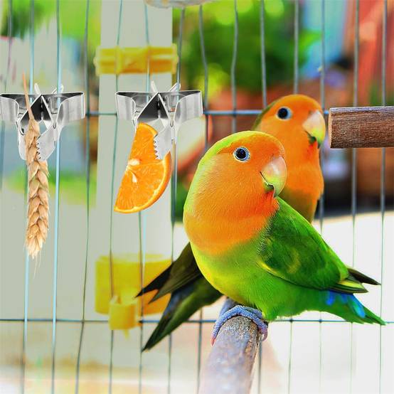 Porte - Nourriture pour oiseaux 5 Pcs DtopbuyAge - Image 3